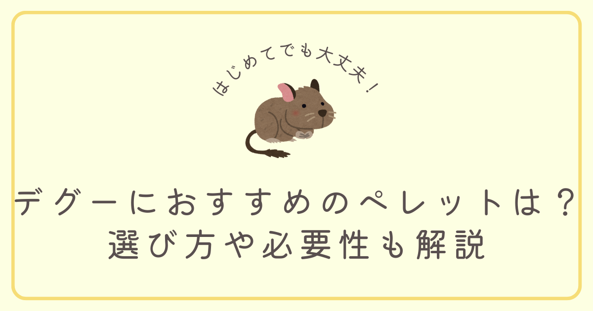 デグーにおすすめのペレットは？選び方や必要性も解説