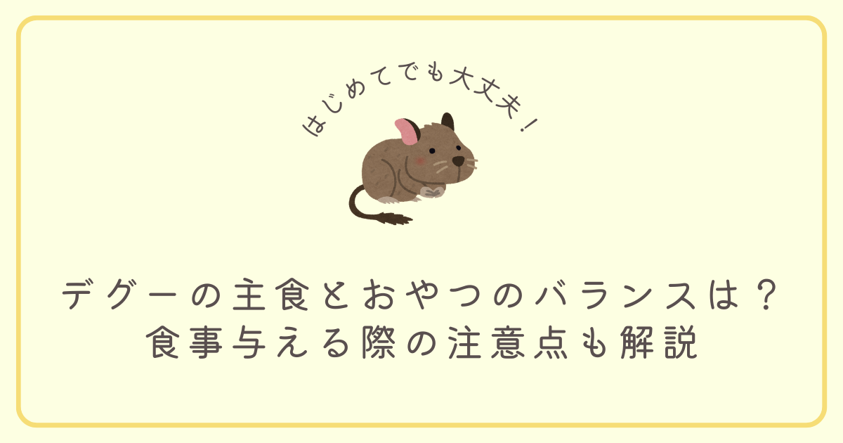 デグーの主食とおやつのバランスは？食事与える際の注意点も解説