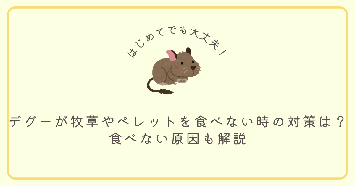 デグーが牧草やペレットを食べない時の対策は？原因も解説