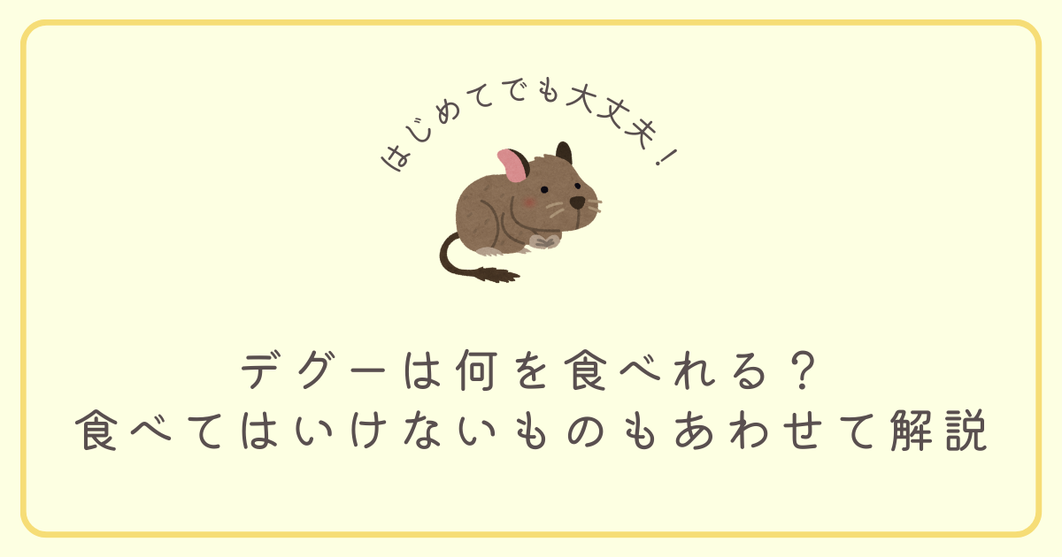 デグーは何を食べれる？食べてはいけないものもあわせて解説