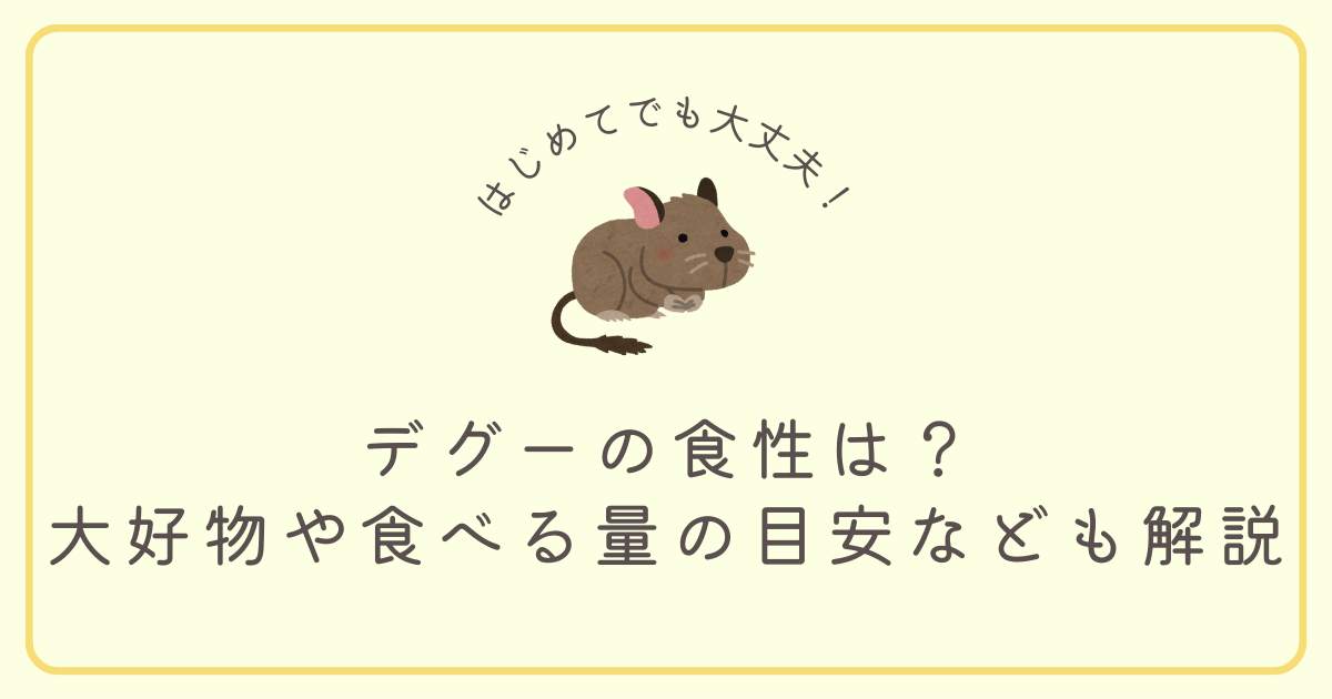 デグーの食性は？大好物や食べる量の目安なども解説