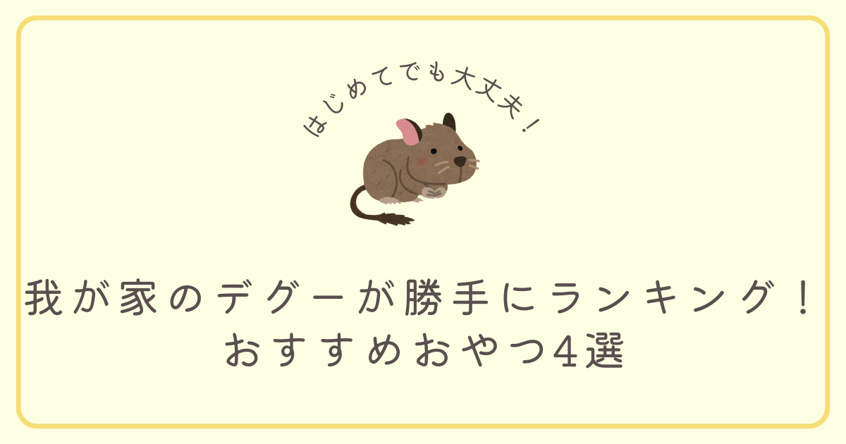 我が家のデグーが勝手にランキング！おすすめおやつ4選