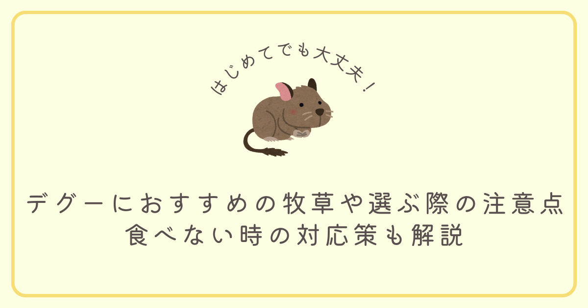 デグーにおすすめの牧草や選ぶ際の注意点｜食べない時の対応策も解説